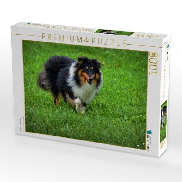 Produktbild: CALVENDO Puzzle Langhaar Collie tricolor | 1000 Teile Lege-Gr&ouml;&szlig;e 64x48cm Foto-Puzzle f&uuml;r gl&uuml;ckliche Stunden
