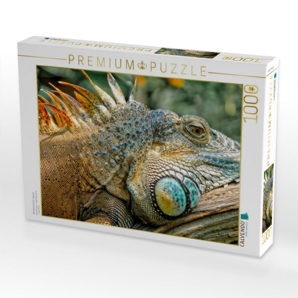 Produktbild: CALVENDO Puzzle Wundersch&ouml;ner Leguan | 1000 Teile Lege-Gr&ouml;&szlig;e 64x48cm Foto-Puzzle f&uuml;r gl&uuml;ckliche Stunden
