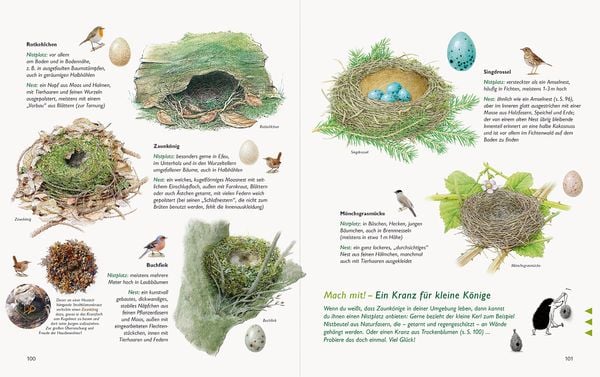 Produktbild: Wawra's Naturbuch &ndash; Unserer Natur auf der Spur, Bd. 1: S&auml;ugetiere, V&ouml;gel, Reptilien, Amphibien