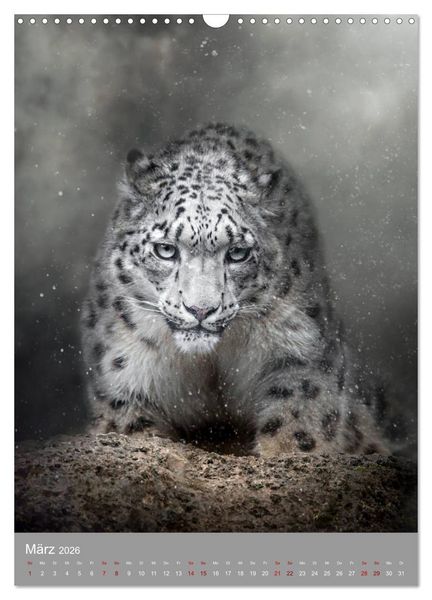 Produktbild: Portraits of Animals (Wandkalender 2026 DIN A3 hoch), CALVENDO Monatskalender