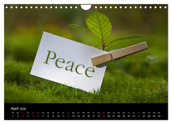 Produktbild: SPIRIT OF ZEN Meditation (Wandkalender 2026 DIN A4 quer), CALVENDO Monatskalender