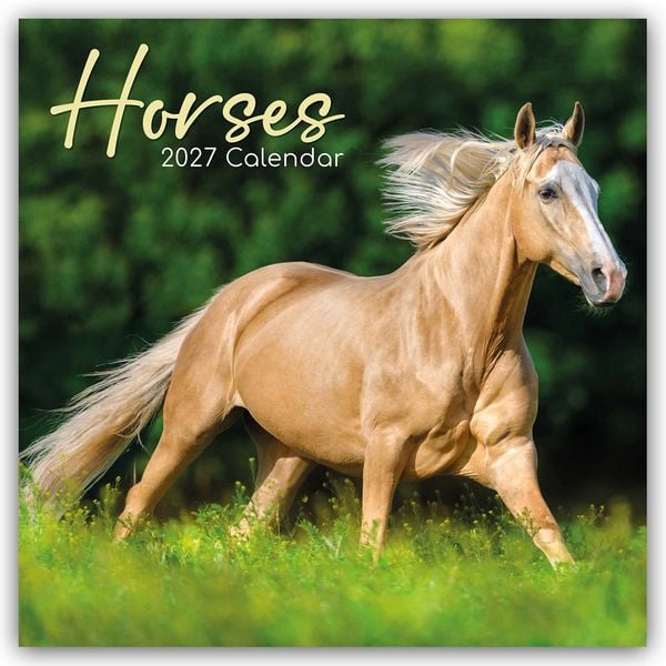 Produktbild: Horses &ndash; Pferde 2027 &ndash; 16-Monatskalender