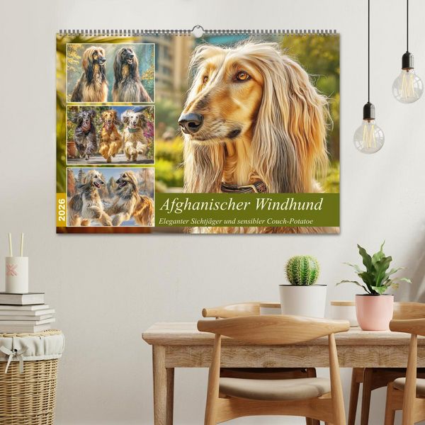 Produktbild: Afghanischer Windhund. Eleganter Sichtj&auml;ger und sensibler Couch-Potatoe (Wandkalender 2026 DIN A2 quer), CALVENDO Monatskalender