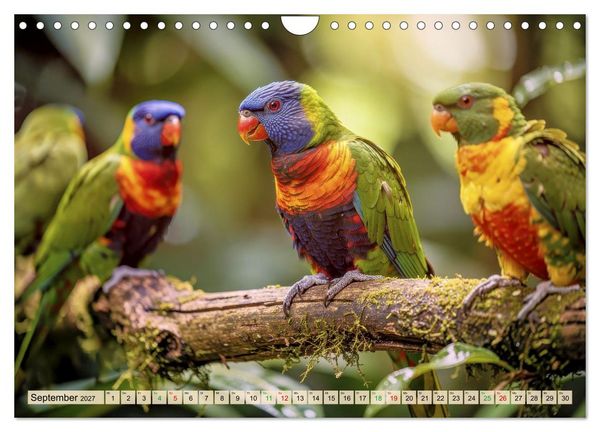 Produktbild: Die intelligentesten Tiere - Weltweit (Wandkalender 2027 DIN A4 quer), CALVENDO Monatskalender