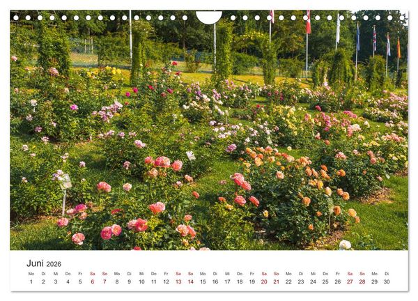 Produktbild: Baden-Baden, Kurstadt am Rande des Schwarzwaldes (Wandkalender 2026 DIN A4 quer), CALVENDO Monatskalender