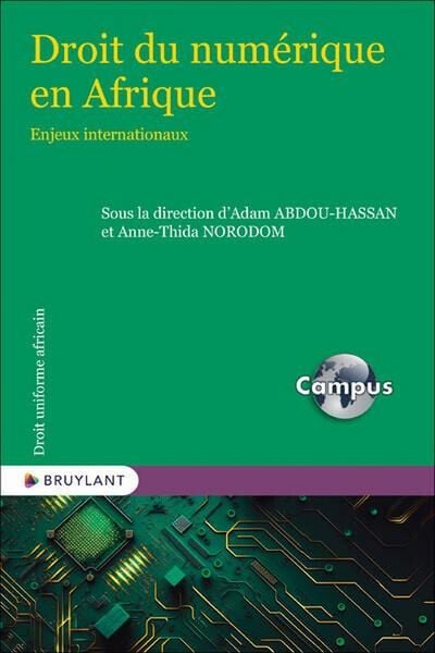 Produktbild: Droit du Numerique en Afrique - Enjeux Internationaux - Campus
