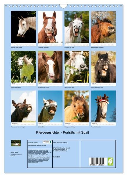 Produktbild: Pferdegesichter - Portr&auml;ts mit Spa&szlig; (Wandkalender 2026 DIN A3 hoch), CALVENDO Monatskalender