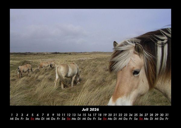 Produktbild: Die Welt der Pferde 2026 Fotokalender DIN A3