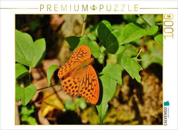 CALVENDO Puzzle Kaisermantel - einer unserer schönsten Edelfalter | 1000 Teile Lege-Größe 64x48cm Foto-Puzzle für glückliche Stunden