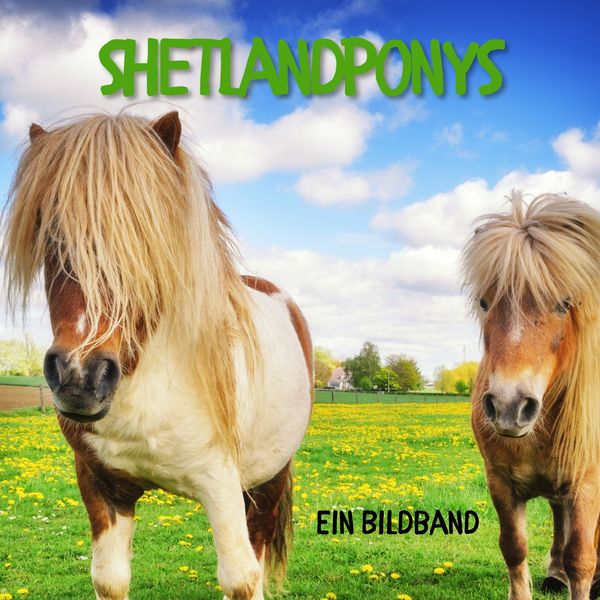 Produktbild: Shetlandponys