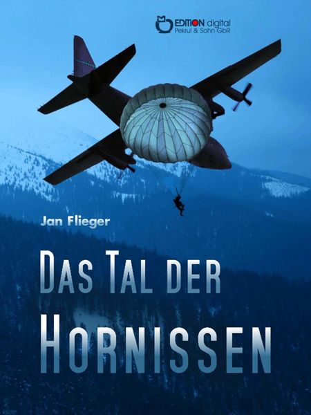Produktbild: Das Tal der Hornissen