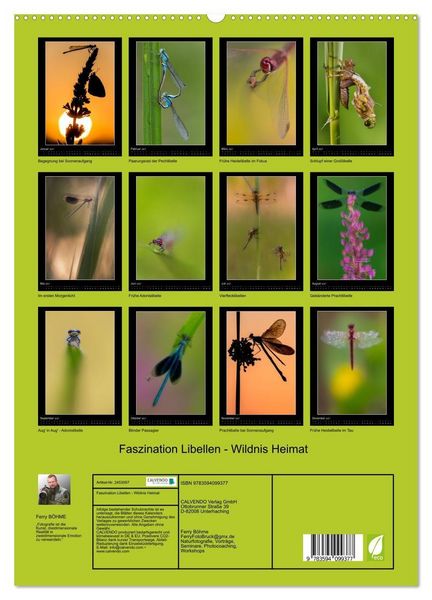 Produktbild: Faszination Libellen - Wildnis Heimat (hochwertiger Premium Wandkalender 2027 DIN A2 hoch), Kunstdruck in Hochglanz
