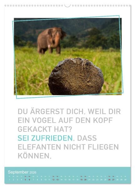 Produktbild: Tierisch bekloppt! (Wandkalender 2026 DIN A2 hoch), CALVENDO Monatskalender