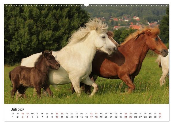 Produktbild: Islandpferde - Hufschlag aus Feuer und Eis (hochwertiger Premium Wandkalender 2027 DIN A2 quer), Kunstdruck in Hochglanz