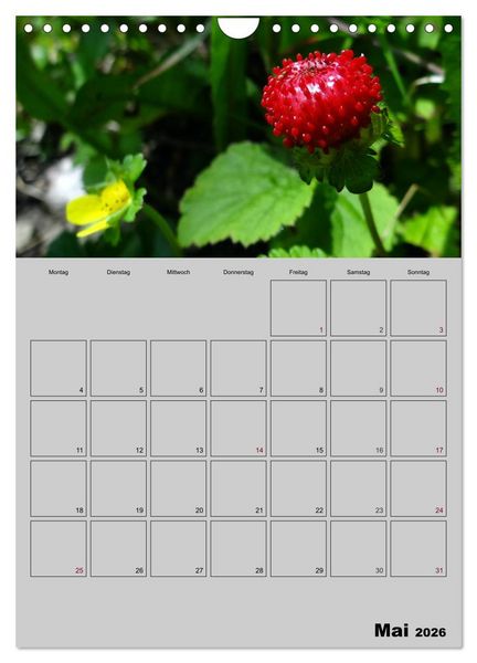 Produktbild: Zeitgewinn (Mein Terminplaner) (Wandkalender 2026 DIN A4 hoch), CALVENDO Monatskalender