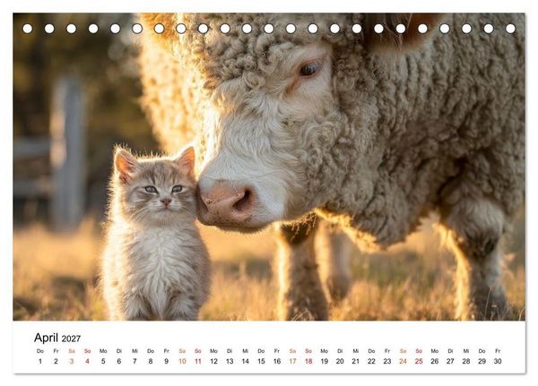 Produktbild: Beste Freunde - ein tierisch buntes Miteinander (Tischkalender 2027 DIN A5 quer), CALVENDO Monatskalender