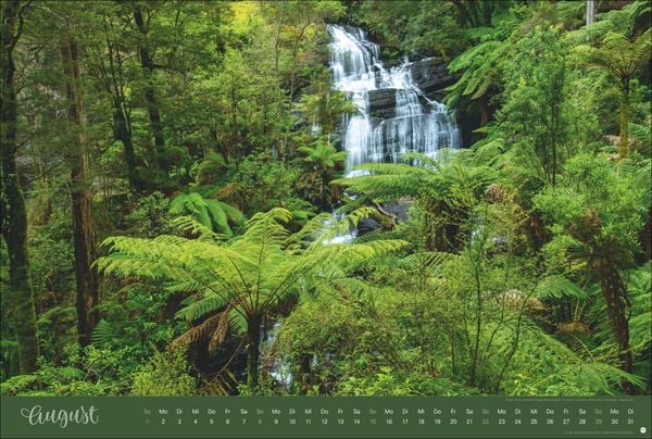 Produktbild: Zauberw&auml;lder Edition Kalender 2027