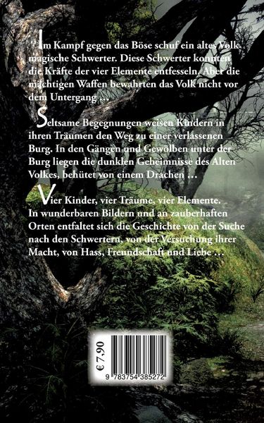 Produktbild: Naterra - Die Schwerter der vier Elemente