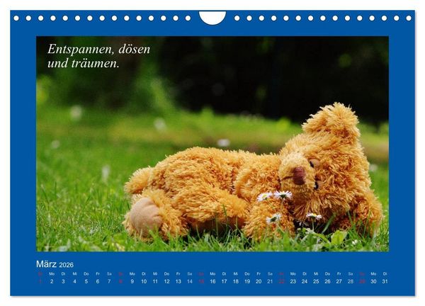 Produktbild: Sommer im Teddy-Land. B&auml;r und Freunde (Wandkalender 2026 DIN A4 quer), CALVENDO Monatskalender