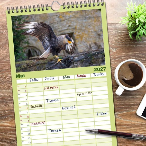 Produktbild: Familienplaner 2027 - Greifv&ouml;gel in Aktion - Dynamische Flugbilder und Portr&auml;ts mit 5 Spalten (Wandkalender, 21 x 45 cm) CALVENDO