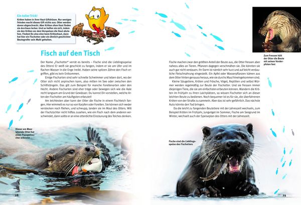 Produktbild: Entdecke die Otter