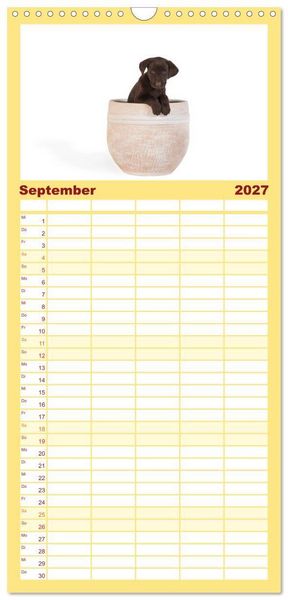 Produktbild: Familienplaner 2027 - Labrador - Welpen mit 5 Spalten (Wandkalender, 21 x 45 cm) CALVENDO