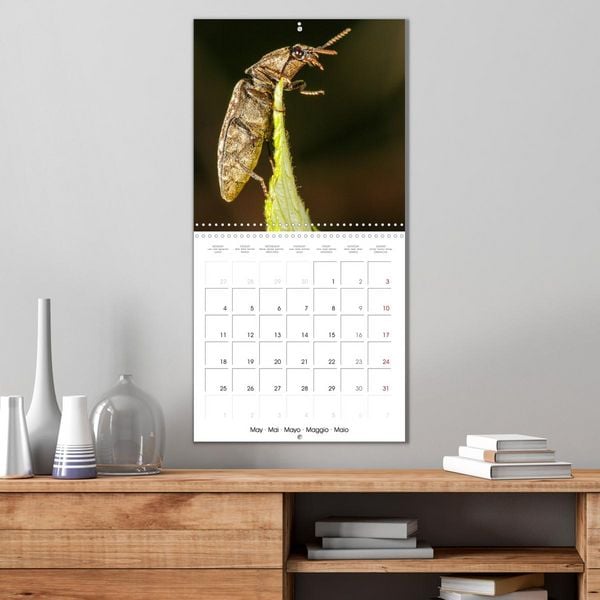 Produktbild: Natural beauty. Close-up insects (Wall Calendar 2026 12 &times; 12 Inch) CALVENDO 12 Month Wall Calendar
