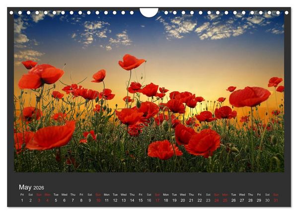 Produktbild: Adorable Nature - Images from Bulgaria / UK-Version (Wall Calendar 2026 DIN A4 landscape), CALVENDO 12 Month Wall Calendar