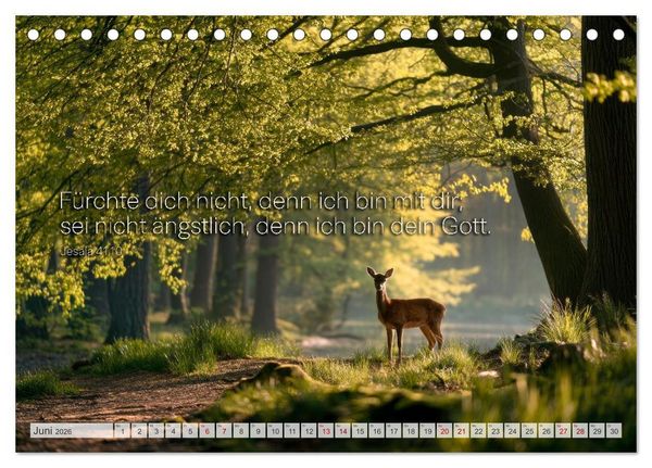 Produktbild: Psalmen und Bibelverse - Himmlische Botschaften (Tischkalender 2026 DIN A5 quer), CALVENDO Monatskalender