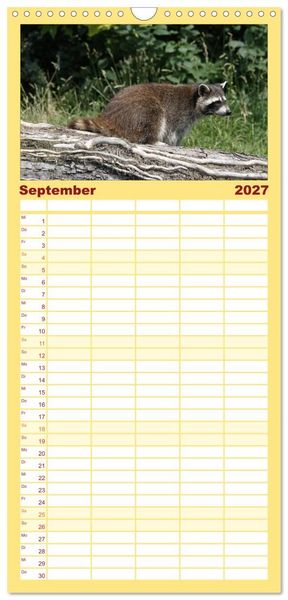 Produktbild: Familienplaner 2027 - Waschb&auml;ren mit 5 Spalten (Wandkalender, 21 x 45 cm) CALVENDO