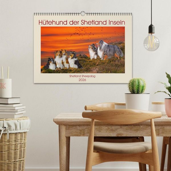 Produktbild: H&uuml;tehund der Shetland Inseln - Shetland Sheepdog (Wandkalender 2026 DIN A3 quer), CALVENDO Monatskalender