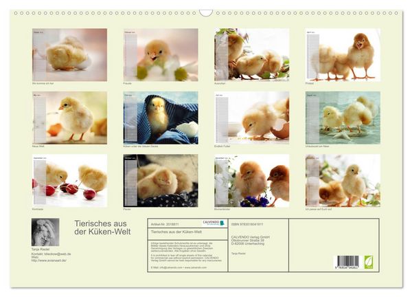 Produktbild: Tierisches aus der K&uuml;ken-Welt (Wandkalender 2026 DIN A2 quer), CALVENDO Monatskalender
