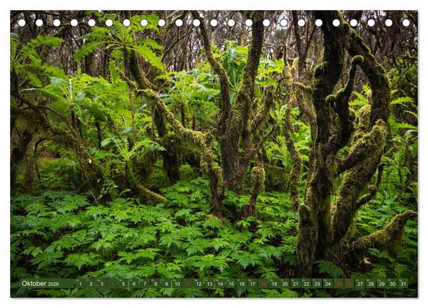 Produktbild: La Gomera - Vielseitige Insel (Tischkalender 2026 DIN A5 quer), CALVENDO Monatskalender