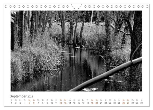 Produktbild: Quo Vadis? W&auml;lder und Wege in der R&ouml;hn, L&uuml;neburger Heide und der Mecklenburgischen Seenplatte (Wandkalender 2026 DIN A4 quer), CALVENDO Monatskalender