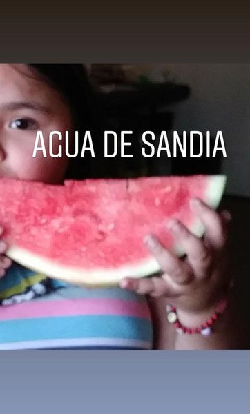 Produktbild: Agua de Sandia