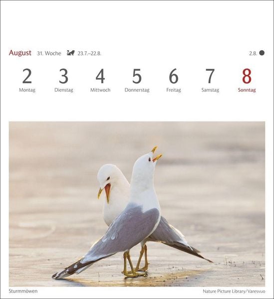 Produktbild: Heimische V&ouml;gel Postkartenkalender 2027 - Wochenkalender mit 53 Postkarten