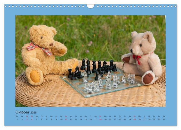 Produktbild: Teddys Meine Freunde (Wandkalender 2026 DIN A3 quer), CALVENDO Monatskalender