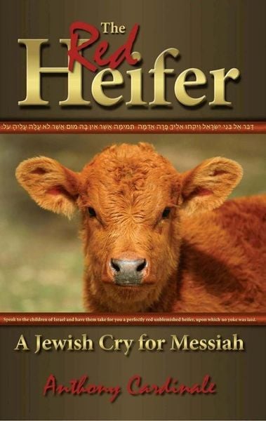 Produktbild: Red Heifer