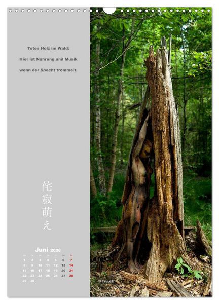 Produktbild: wabi sabi moe &mdash; bewundernswert verg&auml;nglich erotisch &mdash; Akt/Bodypainting (Wandkalender 2026 DIN A3 hoch), CALVENDO Monatskalender
