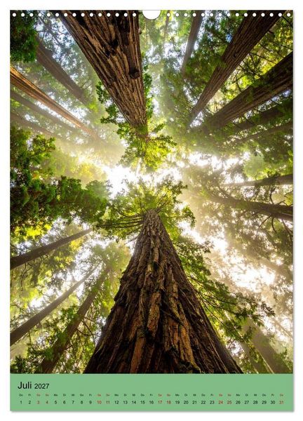 Produktbild: Sequoia Giganten (Wandkalender 2027 DIN A3 hoch), CALVENDO Monatskalender
