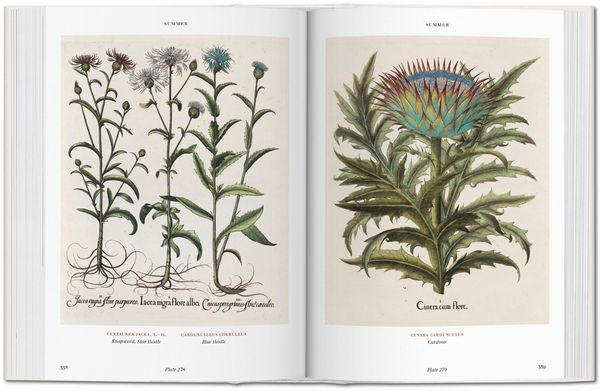 Produktbild: Basilius Besler