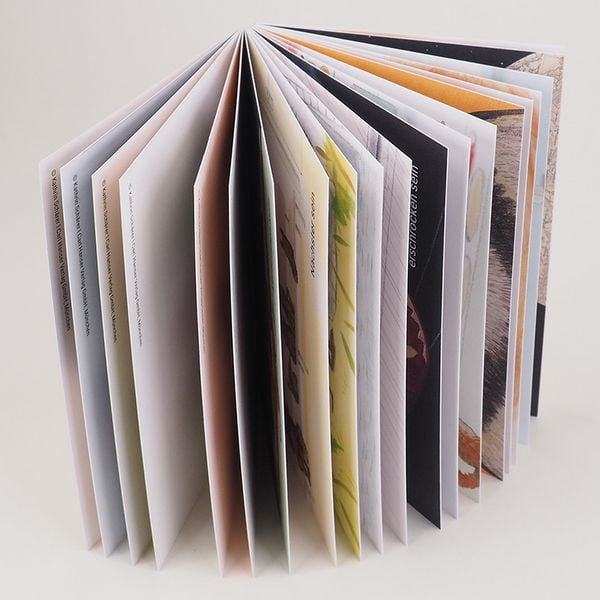 Produktbild: Da sein - Was f&uuml;hlst du? Postkarten-Set