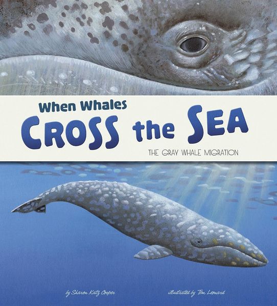 Produktbild: When Whales Cross the Sea