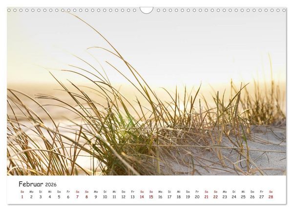 Produktbild: D&uuml;nen und Meer Nordseemomente (Wandkalender 2026 DIN A3 quer), CALVENDO Monatskalender