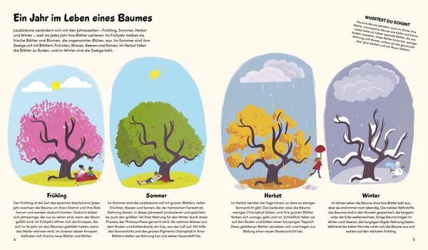 Produktbild: Das kleine Buch der B&auml;ume
