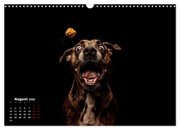 Produktbild: Leckerchen! (Wandkalender 2026 DIN A3 quer), CALVENDO Monatskalender