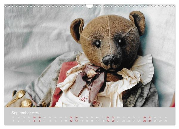 Produktbild: Robin der B&auml;r (Wandkalender 2026 DIN A3 quer), CALVENDO Monatskalender