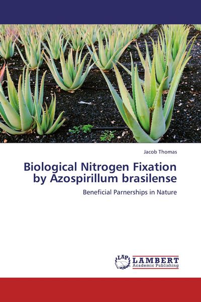 Produktbild: Biological Nitrogen Fixation by Azospirillum brasilense
