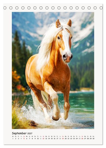 Produktbild: Berge und M&auml;hnen. Haflinger zwischen Alm, Sonne und Freiheit (Tischkalender 2027 DIN A5 hoch), CALVENDO Monatskalender