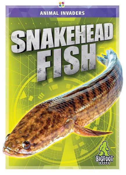 Produktbild: Snakehead Fish